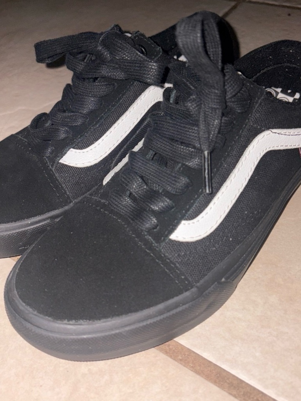 Vans Black Low-Top Sneakers with White Side Stripe